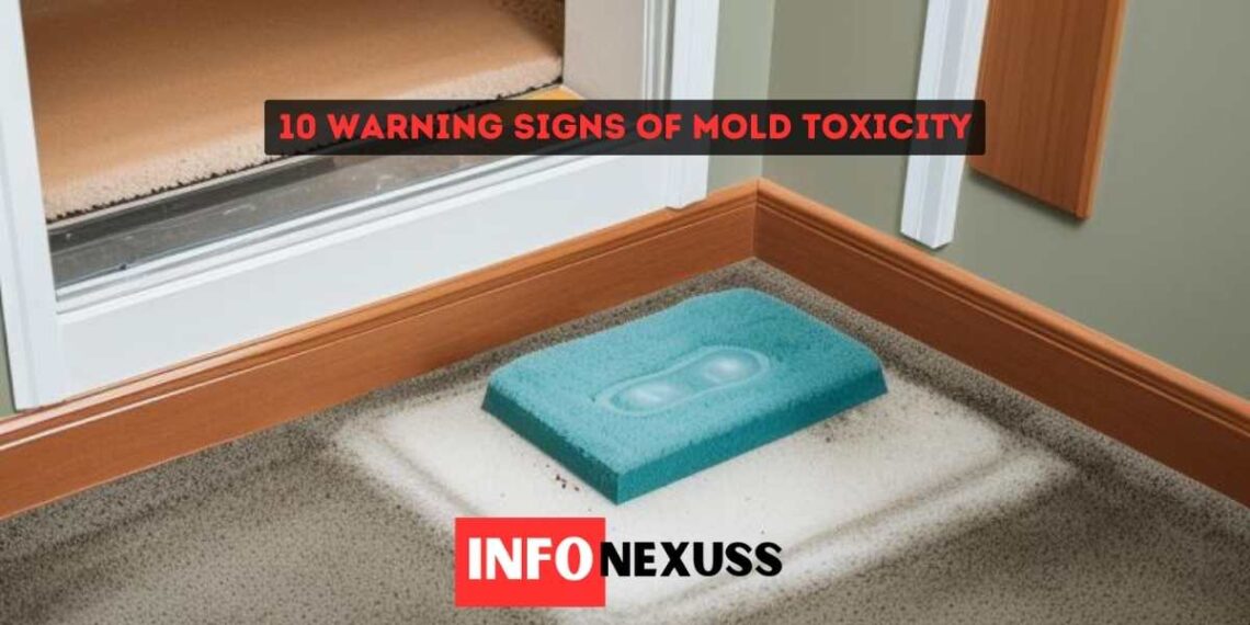 10 warning signs of mold toxicity