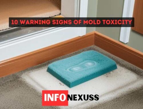 10 warning signs of mold toxicity