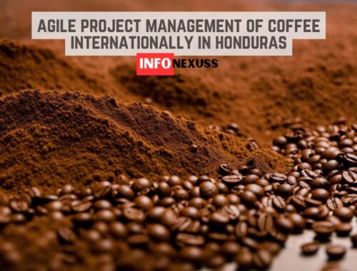 agile project management of coffee internationally in honduras